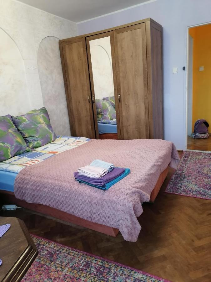 Delfin Homestay *