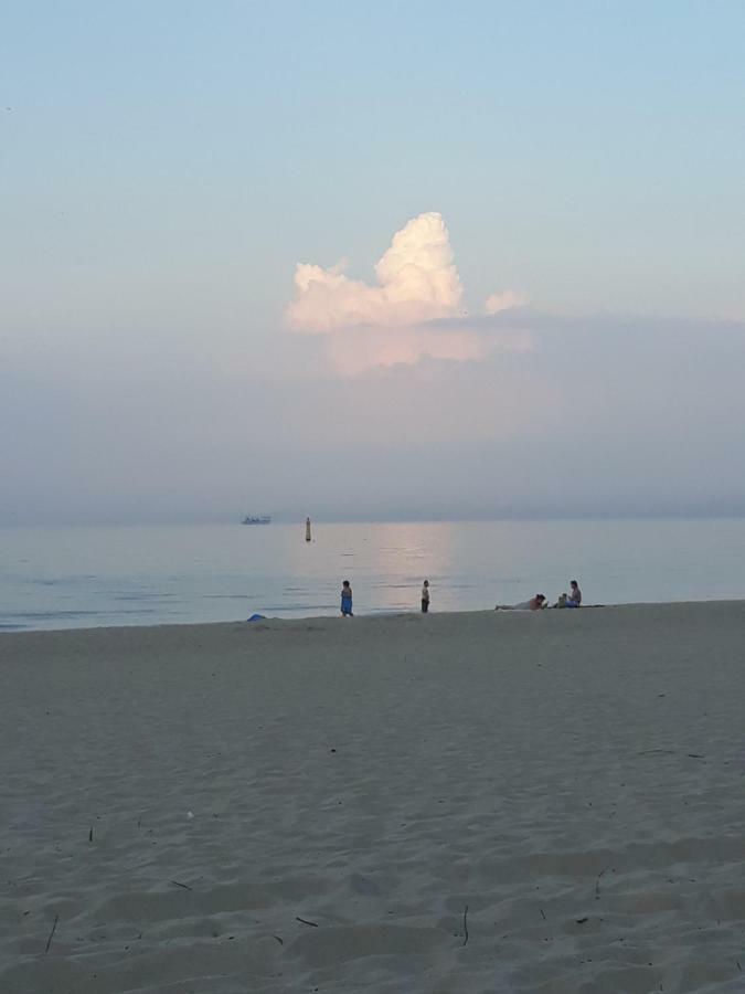 Homestay Delfin Sopot